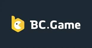 Exploring the BC Platform App The Future of Digital Solutions