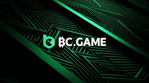 Exploring the BC Platform App The Future of Digital Solutions